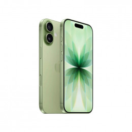 Смартфон Apple iPhone 17 eSim+eSim 512 ГБ, Sage