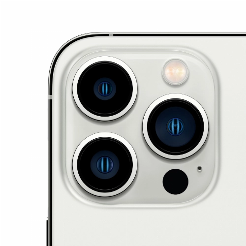 Apple iPhone 13 Pro Max 256 ГБ, серебристый (б/у)
